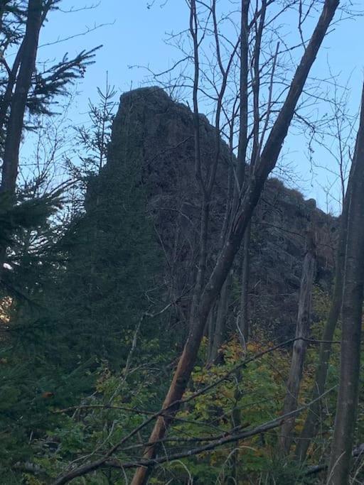 Jermerstein-Haeuschen Braunlage Eksteriør bilde