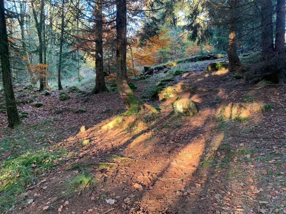 Jermerstein-Haeuschen Braunlage Eksteriør bilde