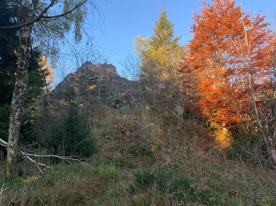 Jermerstein-Haeuschen Braunlage Eksteriør bilde
