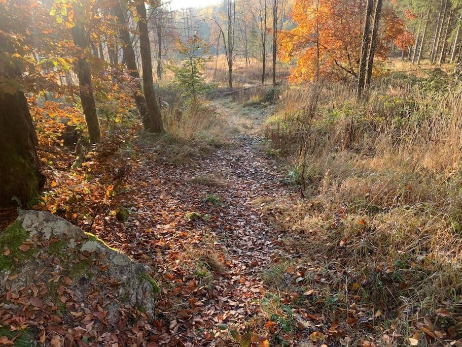 Jermerstein-Haeuschen Braunlage Eksteriør bilde